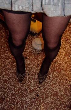 gambe