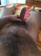 Private Photo of GrilloParlante89