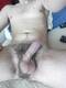 bello dritto