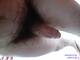 Foto privata di foreversex