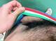 Slip Italia 1